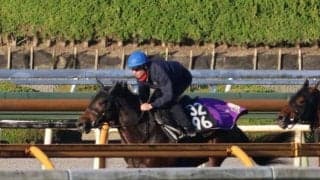 叔母に名牝ミッキークイーンをもつ良血 ショウヘイが土曜京都で初陣へ/関西馬メイクデビュー情報