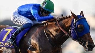 【チャンピオンズC想定騎手】レモンポップは坂井瑠星騎手、ウィルソンテソーロは川田将雅騎手