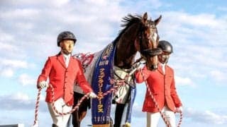 【AI予想・チャンピオンズC】前走でハイレベルなレースに出走していた馬が中心 人工知能は打倒絶対王者に燃える3頭を高評価