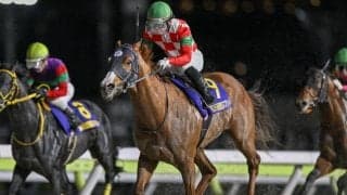 【船橋記念枠順】DG競走4勝のジャスティンは3枠3番