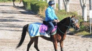 98年オークス馬エリモエクセルの孫 黒岩厩舎のピコラ/関東馬メイクデビュー情報