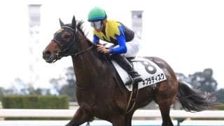 【新馬/京都6R】リスグラシュー半弟 ネブラディスクがデビューV