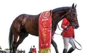 稀有の決め手でジャパンC制したドウデュース 「母の脚力」×「父のスタミナ」が生んだ爆発的な加速力