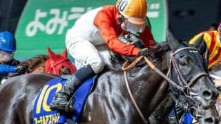チャンピオンズC史上2頭目の牝馬戴冠へ 9年ぶりの偉業に今年重賞2勝挙げるコンビが挑む