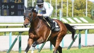 【ステイヤーズS展望】JRA最長距離の重賞、リピーターが幅を利かせる