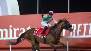 イントゥミスチーフが6年連続の戴冠か？ 北米種牡馬ランキングの“今”