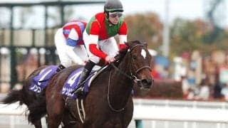 単勝66.4倍の12番人気が「3強」を撃破 チャンピオンズC史上初の牝馬V