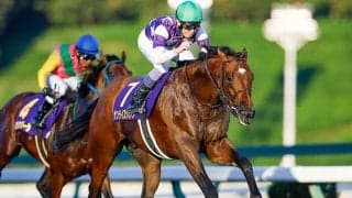 今年のチャンピオンズCが3歳馬に有利な理由とは？「12月1日」開催の秘密