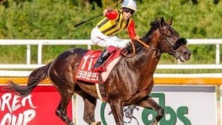 コリアCでV2を果たした実力派 チャンピオンズCで悲願のGI制覇を果たすか