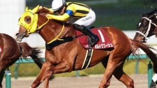 史上最長の「中579日」で重賞初制覇なるか チャレンジCで実績馬が1年7カ月ぶり復帰だ