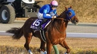 【チャンピオンズC予想オッズ】レモンポップが予想1番人気