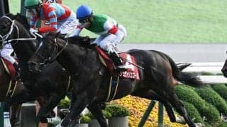 【ステイヤーズS予想オッズ】シュヴァリエローズが予想1番人気