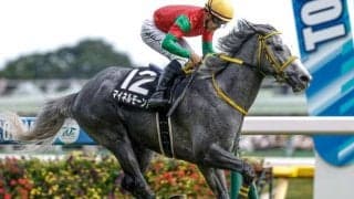 【チャレンジC展望】好走条件満たし妙味十分のマイネルモーントが狙い目