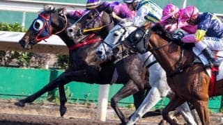 【チャンピオンズC／穴ライズ】大敗は「理由ありき」の反抗　レモンポップが牽引の展開で再浮上の想定“8人気”前後