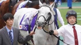 22年ぶり史上2頭目のダート未勝利馬Vへ 現役屈指の“二刀流”がチャンピオンズC挑む