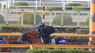 アルテヴェローチェ、朝日杯FS2週前追い切り速報/栗東トレセンニュース