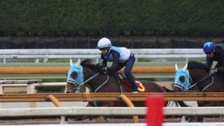 ダンツエラン、阪神JF1週前追い切り速報/栗東トレセンニュース