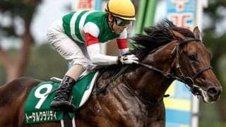 【朝日杯FS想定】トータルクラリティ、アルテヴェローチェなど13頭