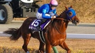 砂マイルの“国内最強馬” チャンピオンズCで有終の美となるか
