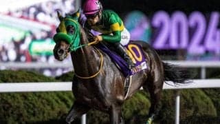 “ダート界の王”との最終決戦 昨年2着の雪辱に燃える5歳馬がチャンピオンズCに挑む