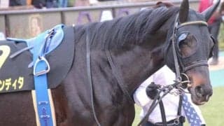 武豊騎手の“3元号制覇”がかかる一戦 チャレンジCは7歳馬とタッグ