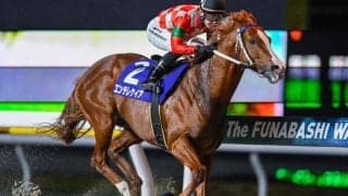 【船橋・船橋記念結果】エンテレケイアが4馬身差の逃げ切りV！重賞3勝目を挙げる