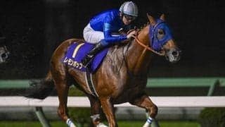 【チャンピオンズC展望】ダートの頂上決戦、レモンポップが有終の美を飾るか