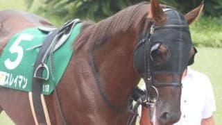 芝GI・7勝馬の半弟がチャンピオンズC参戦 一族初のダート重賞制覇なるか