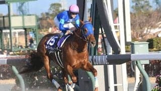 チャンピオンズカップとなって11年目 これまでの10年間で溜まったデータは？