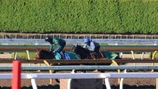 アルマヴェローチェ、阪神JF1週前追い切り速報/栗東トレセンニュース