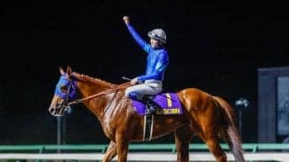 【チャンピオンズC枠順確定】レモンポップは1枠2番、ウィルソンテソーロは4枠8番