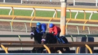 マジックサンズ、ホープフルS追い切り速報/栗東トレセンニュース