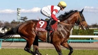 【チャレンジC出走馬・騎手確定】ダノンエアズロック＆R.ムーア騎手、マキシ＆C.デムーロ騎手など15頭