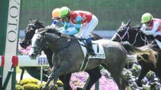 【ステイヤーズS出走馬・騎手確定】ゴールデンスナップ＆坂井瑠星騎手、シュヴァリエローズ＆北村友一騎手など14頭