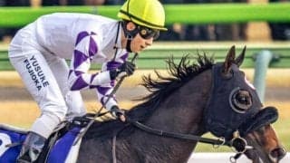 フェブラリーS覇者 史上5頭目のJRAダートGI同年ダブル制覇なるか