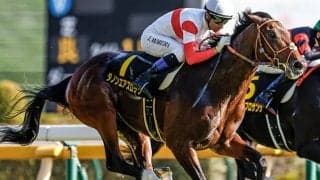 超高額4.5億円馬 チャレンジCで史上最高額のJRA重賞勝ち馬となるか