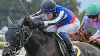 春牝馬二冠で連続3着の実績馬 嵯峨野Sで待ちに待った復帰戦