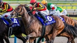 半姉は三冠牝馬、父の産駒は今年重賞15勝 期待の良血馬が好メンバー相手にデビュー勝ち狙う