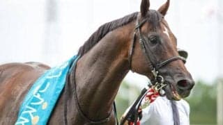 岩田望来騎手が悲願のJRA・GI初制覇へ 息ぴったりの古豪とチャンピオンズC参戦