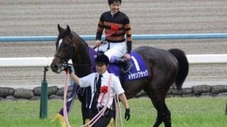 キタサンブラック半弟が仕切り直しのデビュー戦 土曜京都5Rで初白星狙う