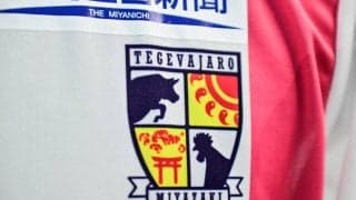 「支持されてて笑う」J3宮崎のマスコット、「（仮称）が正式採用」の危機!? 選挙におけるSNSの力に「やっぱり」「シュールさで勝てないって」などの声