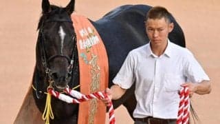 遅咲きのディープインパクト産駒が偉業達成へ 重賞連勝でステイヤーズS制覇狙う