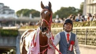 【チャレンジC枠順確定】ラヴェルは5枠9番、ダノンエアズロックは8枠14番