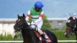 【ステイヤーズS枠順確定】シュヴァリエローズは3枠4番、アイアンバローズは3枠3番