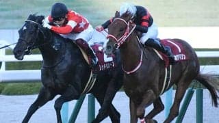 20年デイリー杯2歳S覇者レッドベルオーブが登録抹消 アロースタッドで種牡馬入りへ