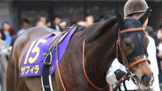 朝日杯FS覇者サリオスの全妹 サフィラがC.デムーロ騎手との新コンビで1年2カ月ぶりV狙う