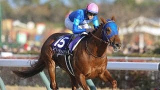 【競馬予想】チャンピオンズカップでレモンポップは有終の美を飾ることができるか？
