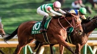 【チャレンジC予想】前走同距離もしくは距離延長の馬に勝機あり!? 距離短縮の馬はスピード能力の高さや強力な末脚が必要不可欠