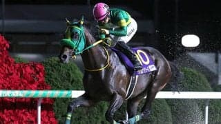 荒れるチャンピオンズC “過去10年勝利なしデータ”に該当した人気馬の取捨がカギ