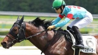 現役最強馬ドウデュースの半兄 鞍上にC.デムーロ騎手を迎え復活の狼煙を上げられるか